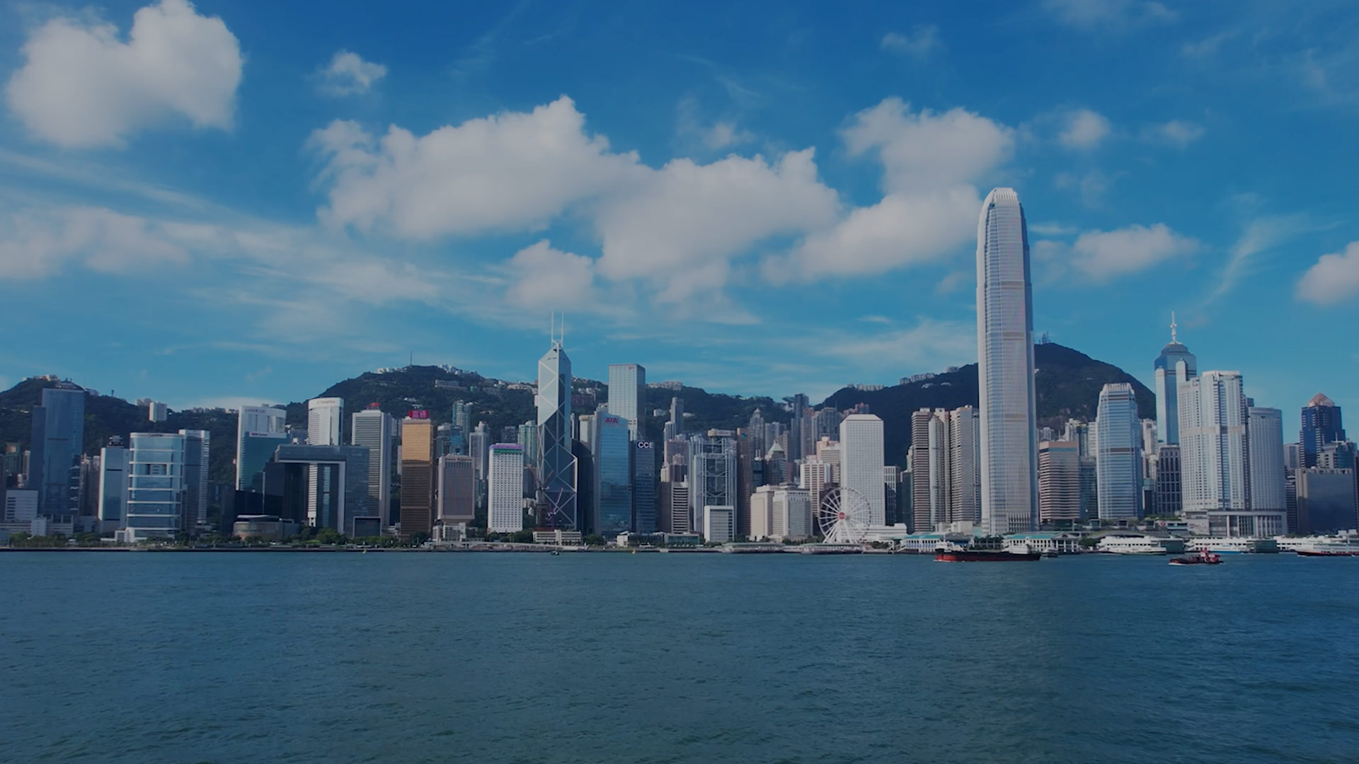 公司簡介